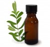 Tea Tree Oil