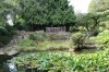 Cambridge Garden