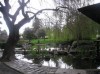 Japanese Friendship Garden