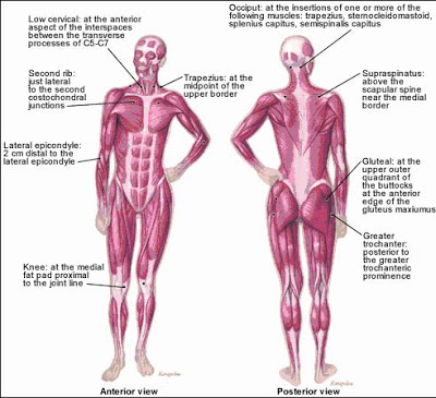 Muscle disease