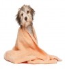 Cover your Dog after Bath at Home