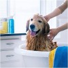 Dog Shampoo to Bath your Dog at home