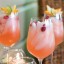 Guide To Make a Pink Lemonade Alcoholic Drink