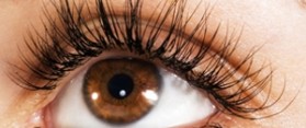 Eyelashes