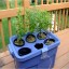 Homemade Hydroponics System