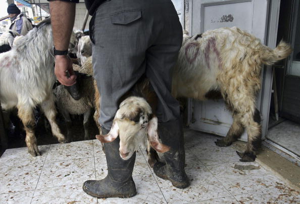 Palestinians Celebrate Eid al-Adha