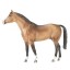A breyer horse