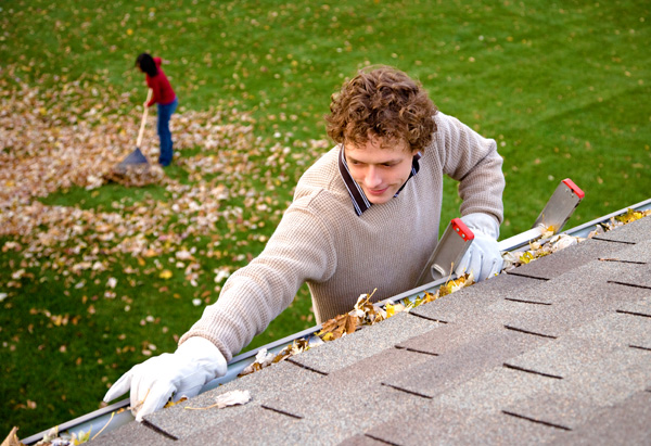 Clean Gutters Efficiently