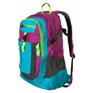 Patagonia Backpack