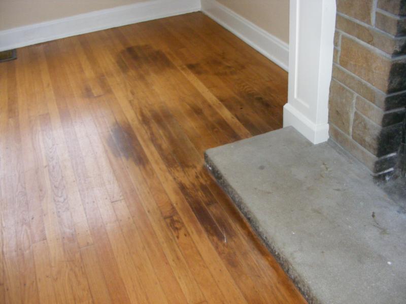 How To Clean Pet Urine From Wood Floors, How To Clean Stains In Hardwood Floors
