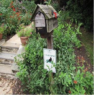 tips to Create a Wildlife Habitat