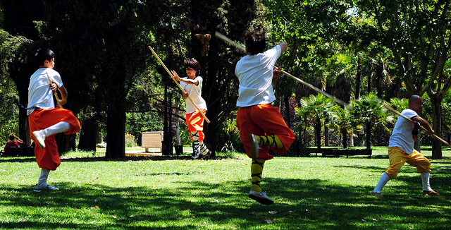 Practising wushu