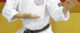 Gkr Karate Block