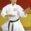Gkr Karate Block