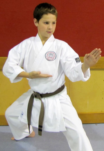 Gkr Karate Block