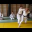Karate Dori in Aikido
