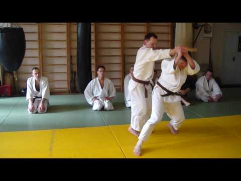 Karate Dori in Aikido