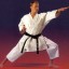 Earn Belts in Karate