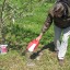 How to Fertilize Fruit Trees Properly