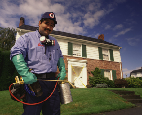 Find Ratings on Pest Control Services