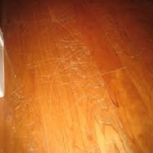 Scratch on a Hardwood Floor