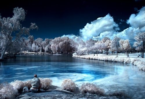 Infrared Photography