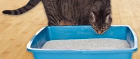 Cat Litter Box