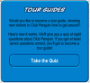 Taking the Tour Guide quiz