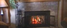Gas Fireplace Insert