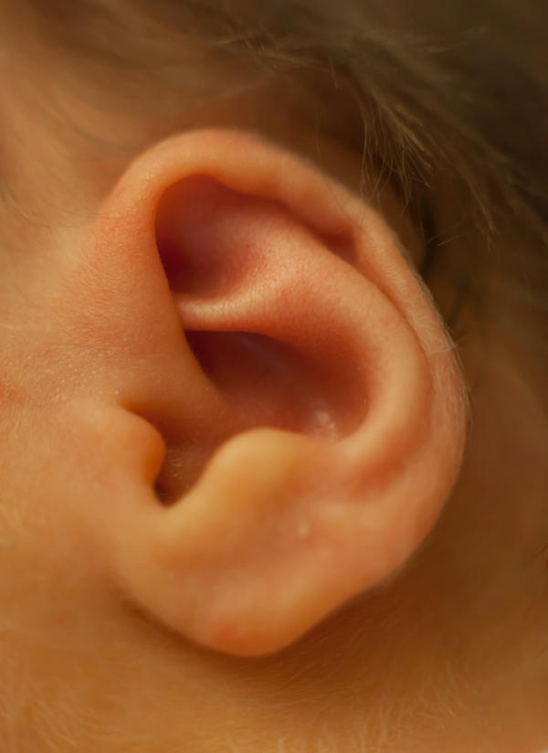 Ear