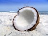 A halved coconut