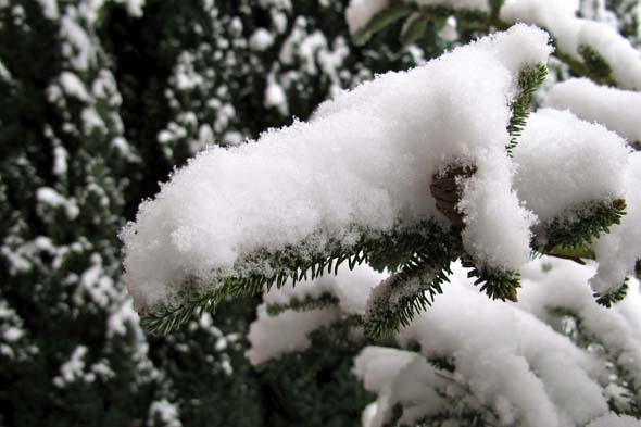 How to Make Fake Snow from Soap