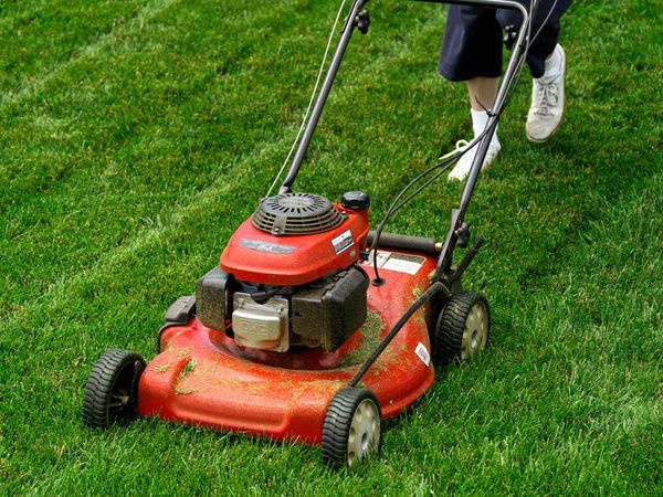 Lawn Mowin