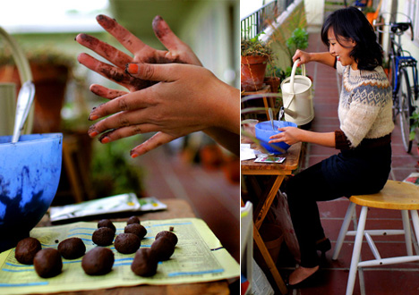 Seed Bombs