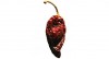 A chipotle pepper