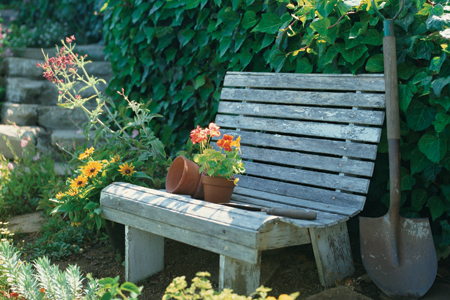 Garden Bench