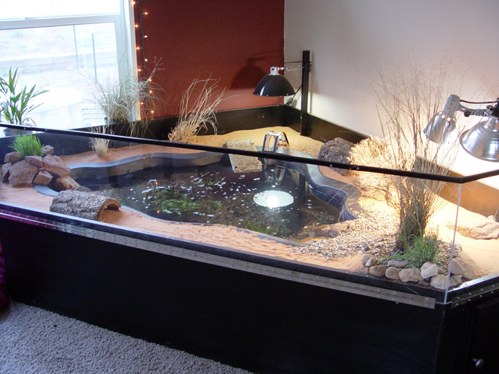 Make an Indoor Fish Pond