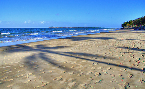 Beach Shot