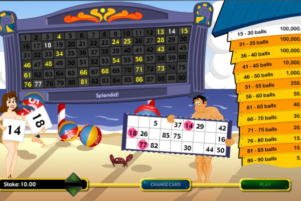 learn to play beach ball bingo