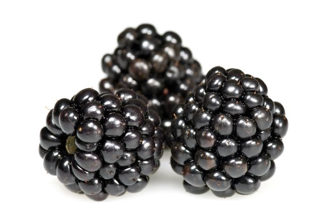 Blackberries