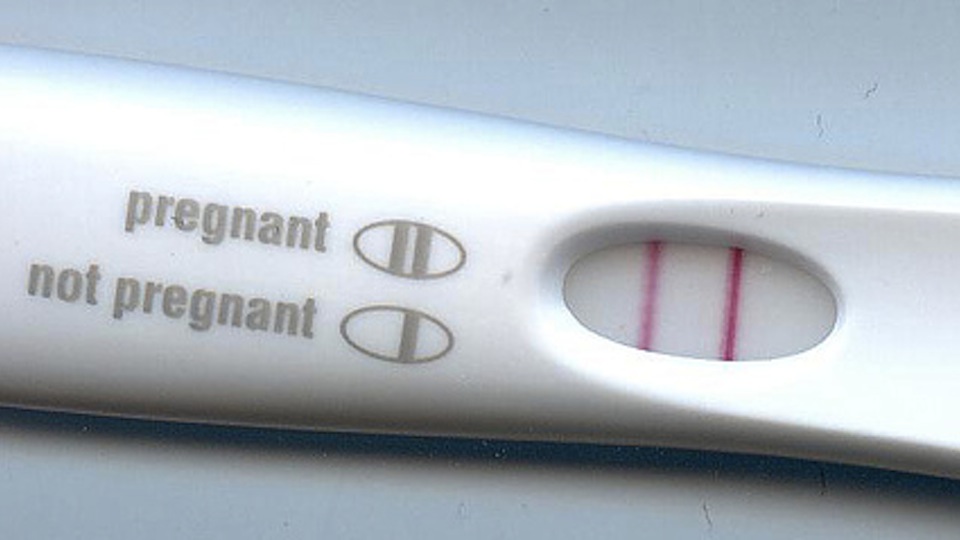 Pregnancy Test