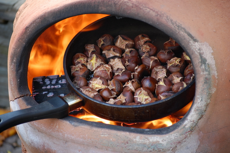Roasting Chestnuts on an Open Fire