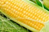 Fresh corn