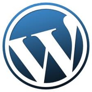 selecting the perfect wordpress theme for your blog