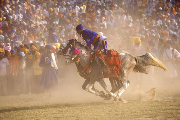 Horse Racing Shot