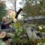 Tips about How to Start a Tree Cutting Business
