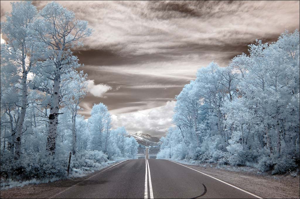 Roadway Infrared Photo