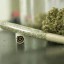 Marijuana and joint