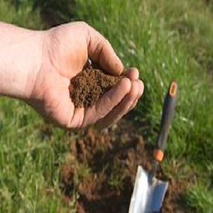 Clay Soil