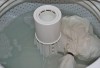 Wash Stuffed Animals in washing machine